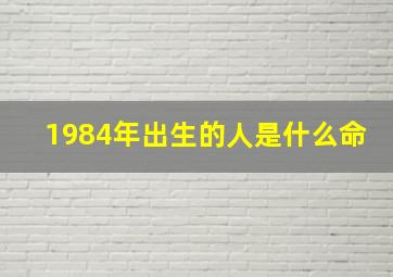 1984年出生的人是什么命