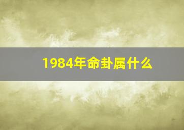 1984年命卦属什么