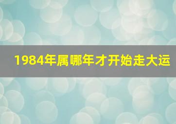 1984年属哪年才开始走大运