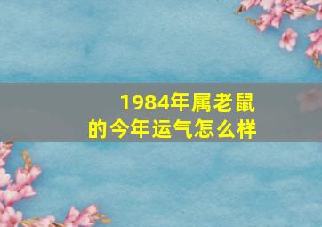 1984年属老鼠的今年运气怎么样