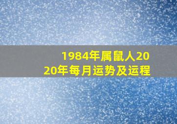 1984年属鼠人2020年每月运势及运程