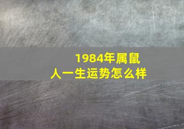 1984年属鼠人一生运势怎么样