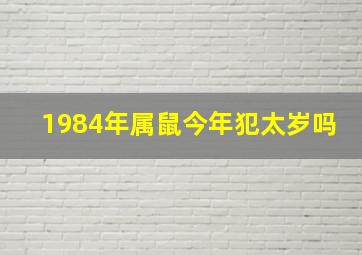 1984年属鼠今年犯太岁吗