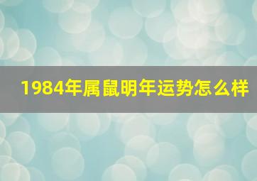 1984年属鼠明年运势怎么样