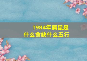 1984年属鼠是什么命缺什么五行