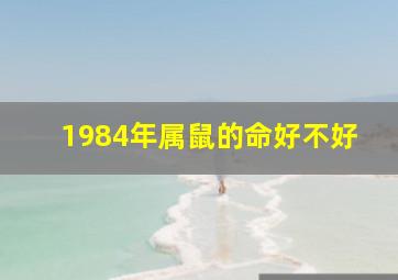 1984年属鼠的命好不好