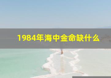 1984年海中金命缺什么