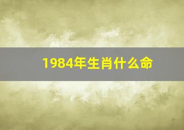 1984年生肖什么命