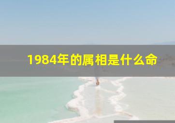 1984年的属相是什么命