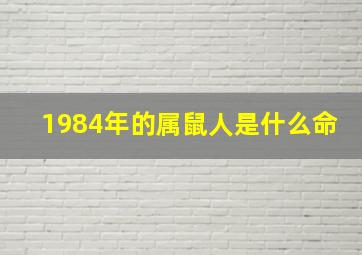 1984年的属鼠人是什么命