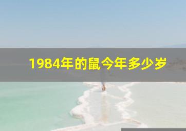 1984年的鼠今年多少岁