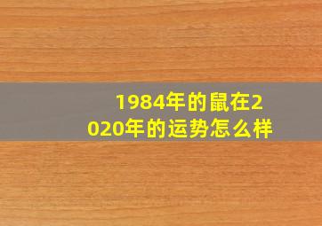 1984年的鼠在2020年的运势怎么样