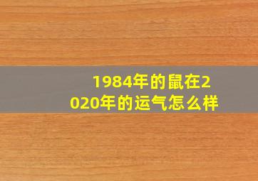 1984年的鼠在2020年的运气怎么样