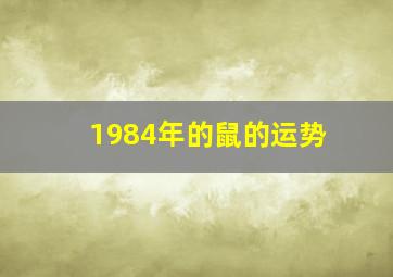 1984年的鼠的运势