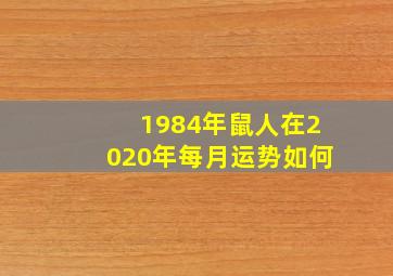 1984年鼠人在2020年每月运势如何