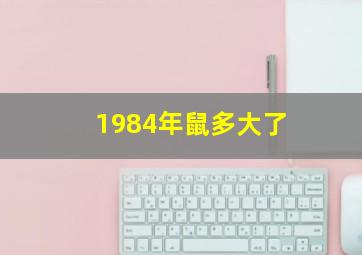 1984年鼠多大了