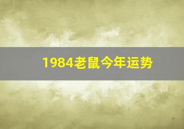 1984老鼠今年运势