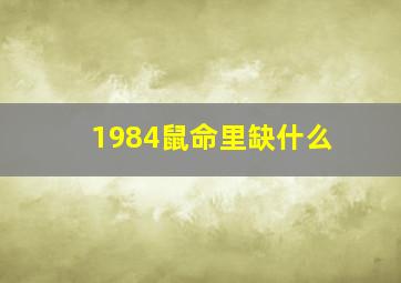 1984鼠命里缺什么