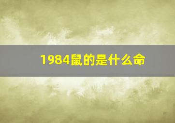 1984鼠的是什么命