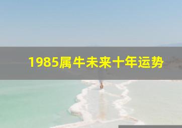 1985属牛未来十年运势