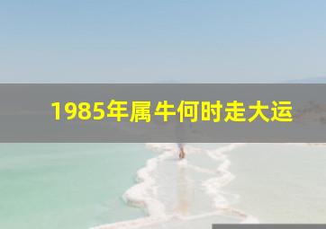 1985年属牛何时走大运