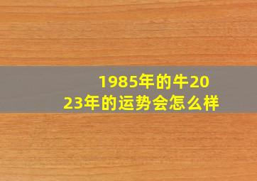 1985年的牛2023年的运势会怎么样