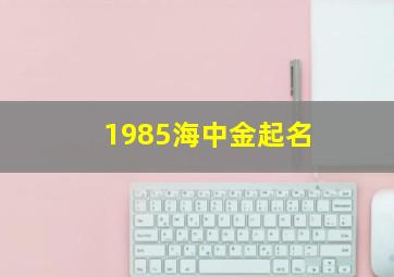 1985海中金起名