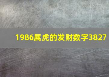 1986属虎的发财数字3827