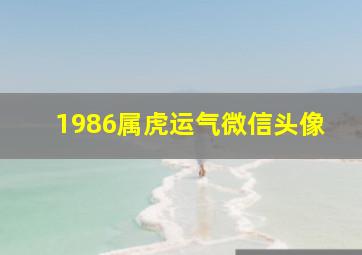 1986属虎运气微信头像