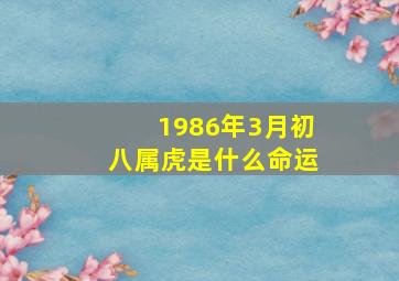 1986年3月初八属虎是什么命运