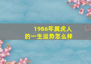 1986年属虎人的一生运势怎么样