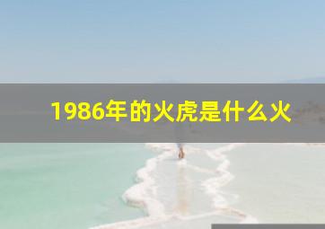 1986年的火虎是什么火