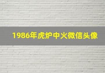 1986年虎炉中火微信头像