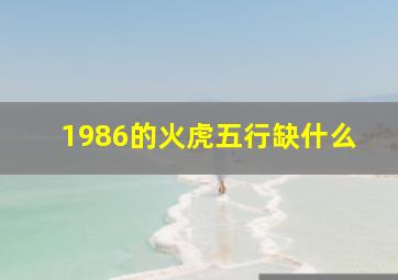 1986的火虎五行缺什么