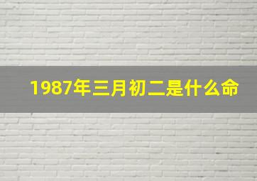 1987年三月初二是什么命