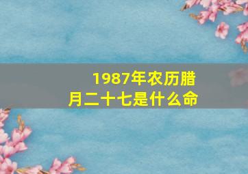 1987年农历腊月二十七是什么命