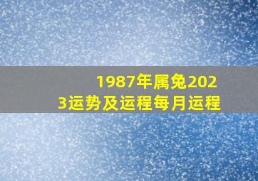 1987年属兔2023运势及运程每月运程