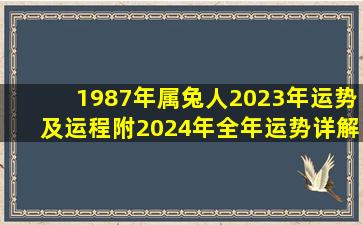 1987年属兔人2023年运势及运程附2024年全年运势详解