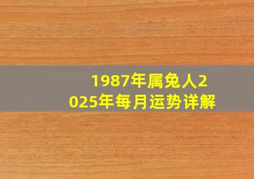 1987年属兔人2025年每月运势详解