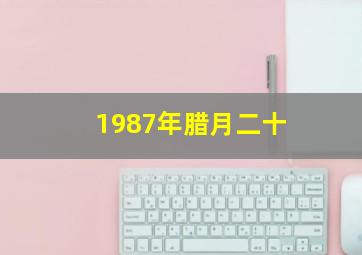 1987年腊月二十