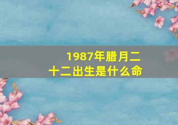 1987年腊月二十二出生是什么命