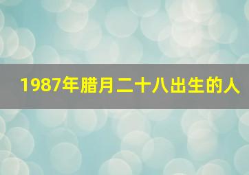 1987年腊月二十八出生的人