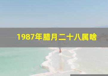 1987年腊月二十八属啥