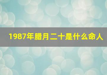 1987年腊月二十是什么命人