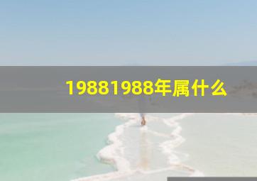 19881988年属什么