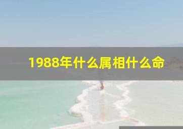 1988年什么属相什么命