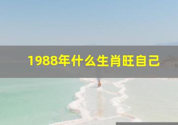 1988年什么生肖旺自己