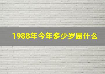 1988年今年多少岁属什么