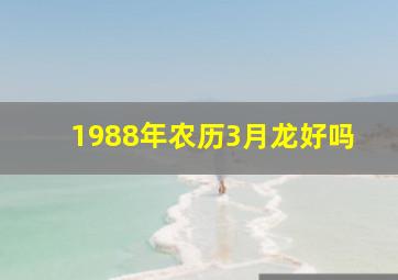 1988年农历3月龙好吗