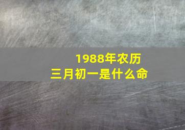 1988年农历三月初一是什么命